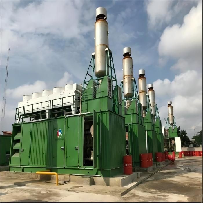 Containerized Diesel Generator Set(001)
